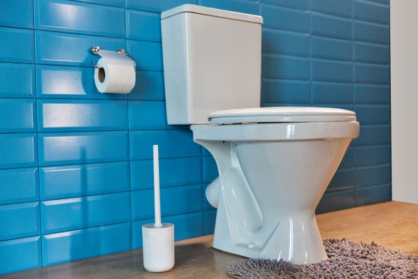 Cost of Toilet Tank Repair in Grove City