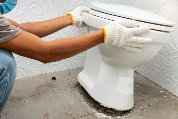 Toilet Dismantling